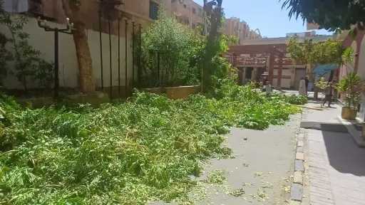 أخبار