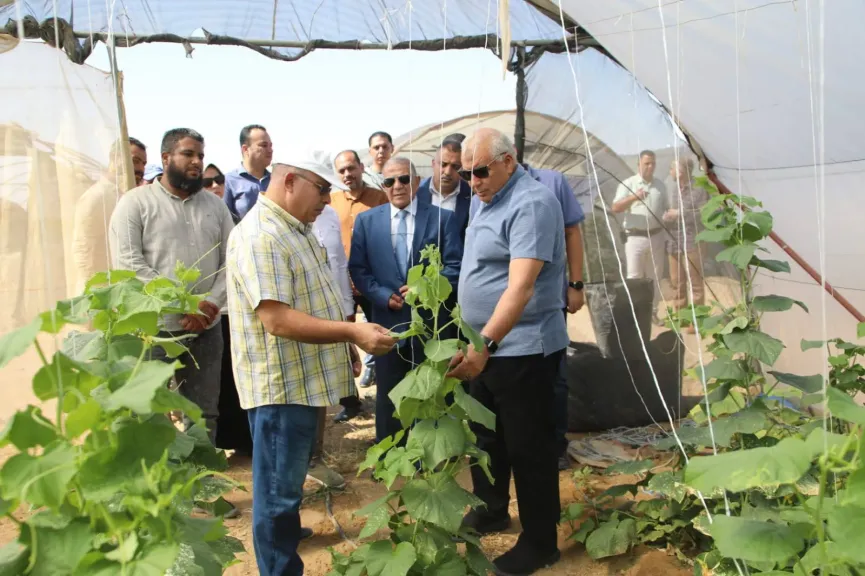 محافظ الوادي الجديد يتفقد مشروعات الصوب الزراعية بـ الخارجة