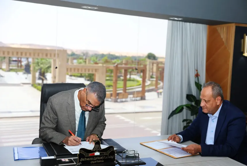 محافظ أسوان