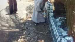 أخبار