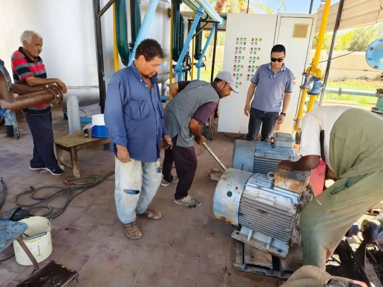 جهود الوحدة المحلية