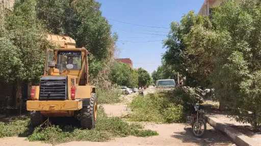 حملة موسعة لتهذيب الأشجار ورفع...