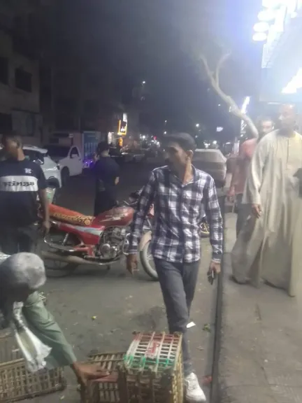 جانب من الحملة