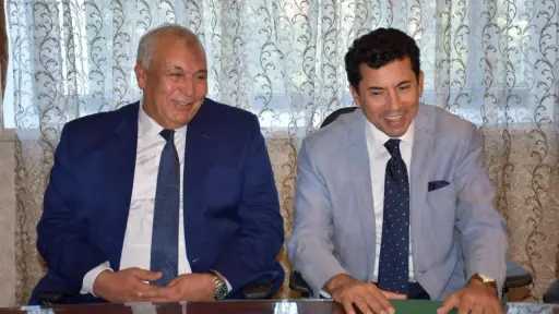 ملاعب