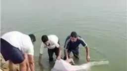 حوادث