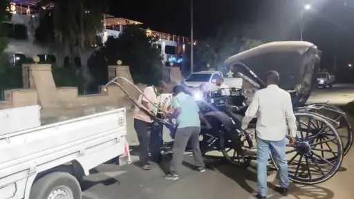 أخبار