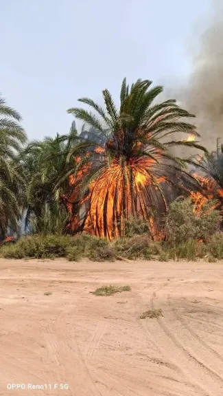 صورة من الحريق