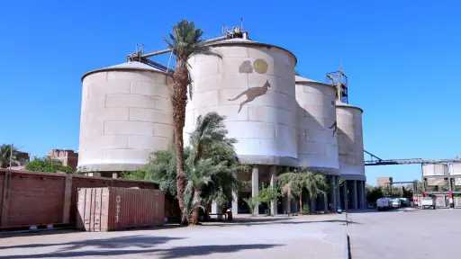 أخبار