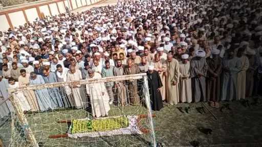 أخبار