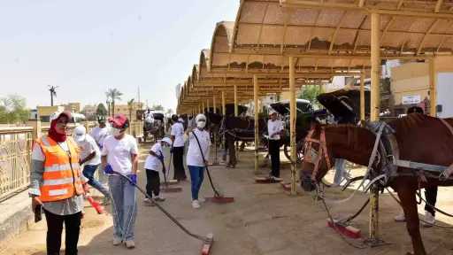 بمشاركة 150 طليع وكشاف.. انطلاق...