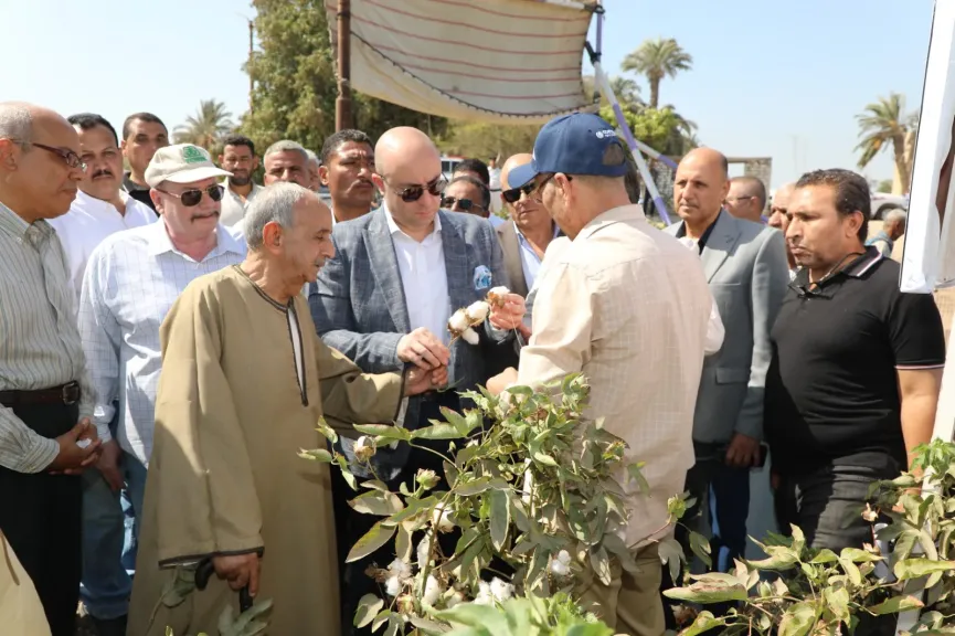 محافظ بني سويف يفتتح موسم جمع القطن داخل أحد الحقول بالنويرة