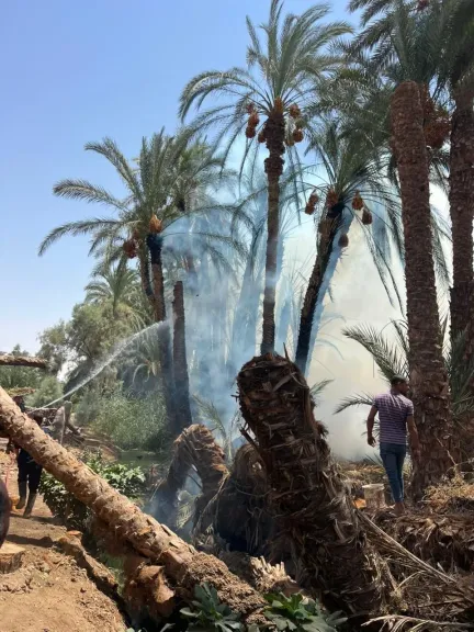صورة من الحريق