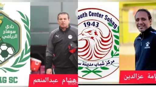 ملاعب