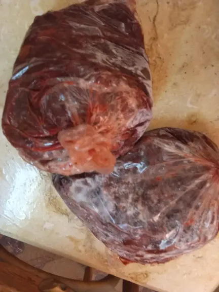 المضبوطات