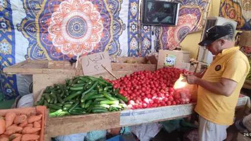 مدينة الخارجة بالوادي الجديد تدعم...