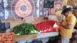 مدينة الخارجة بالوادي الجديد تدعم...