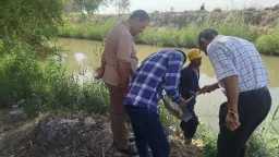 منوعات