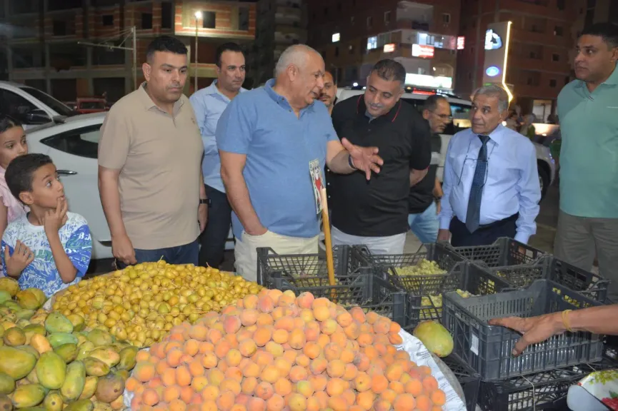 جولة محافظ الوادي الجديد