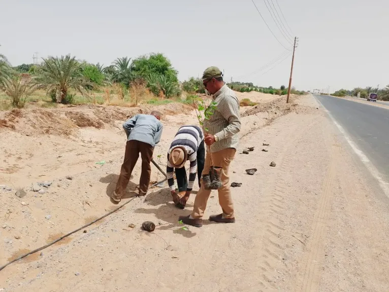 قرية المنيرة