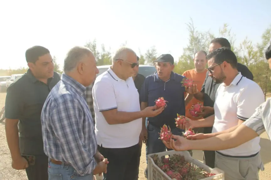 جولة محافظ الوادي الجديد