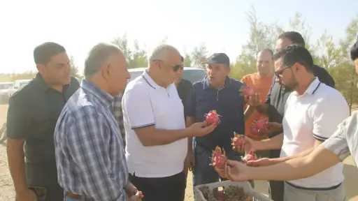 أخبار