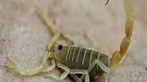 حوادث