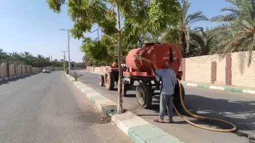 أخبار