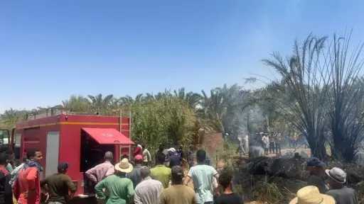 اندلاع حريق بمزرعة نخيل بقرية...
