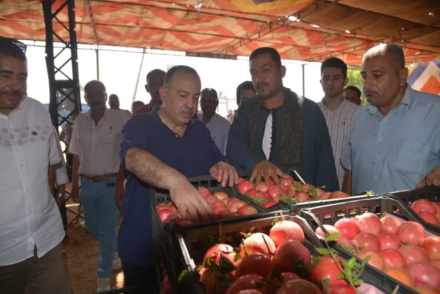 محافظ أسيوط يتفقد مواقع تجهيز وتصدير محصول الرمان