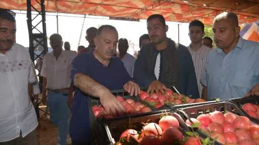 أخبار