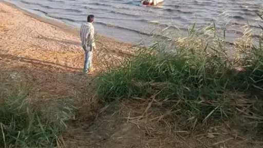أخبار