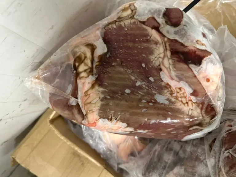المضبوطات