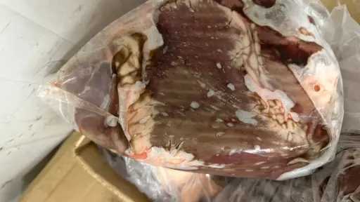 حوادث