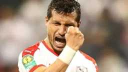 ملاعب