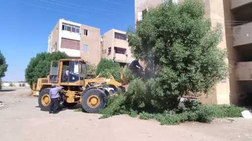 أخبار