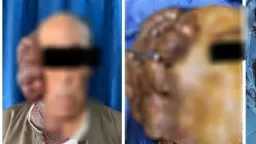منوعات