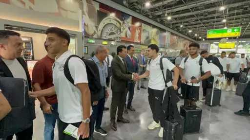 ملاعب