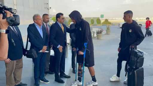 ملاعب
