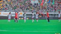 ملاعب