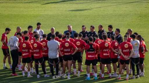 ملاعب