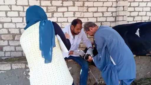 منوعات