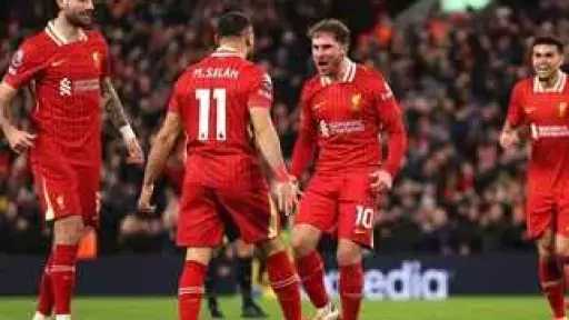 ملاعب