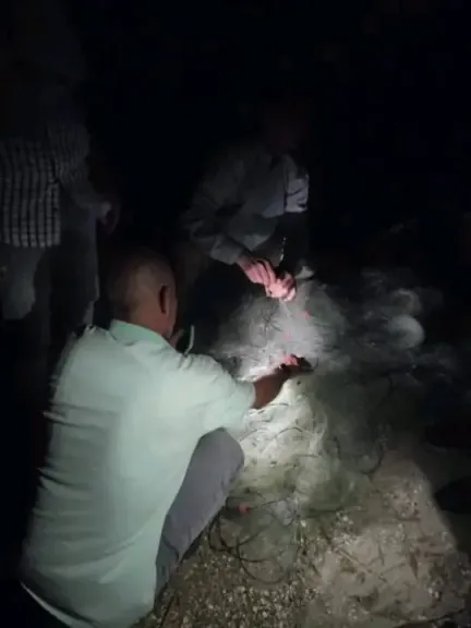 في بحيرة قارون بالفيوم.. مصادرة شباك الصيد الجائر لزريعة الجمبري ومتابعة نموها