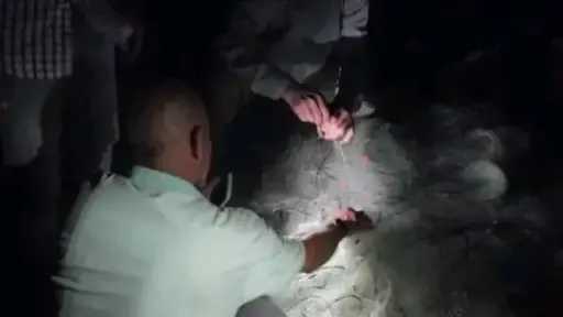 في بحيرة قارون بالفيوم.. مصادرة...