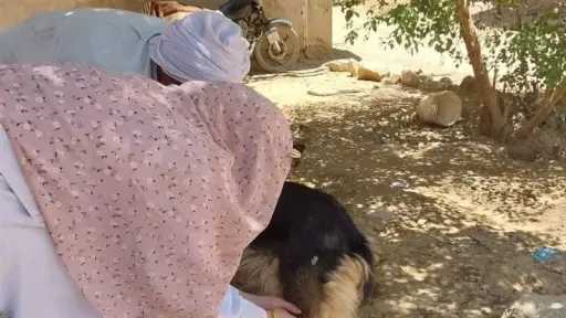 منوعات