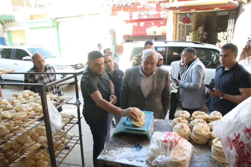 جولة محافظ الوادي الجديد