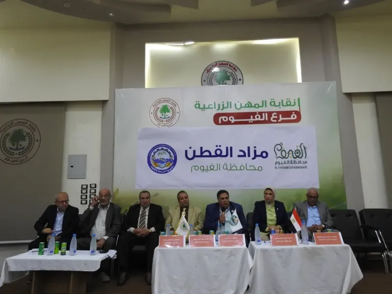 افتتاح أول مزاد للقطن في الموسم الجديد بالفيوم