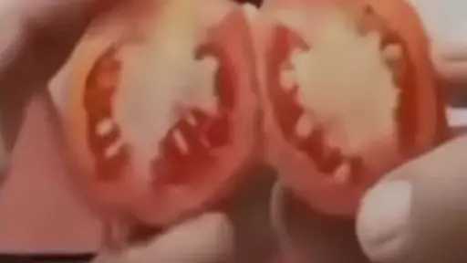 أخبار