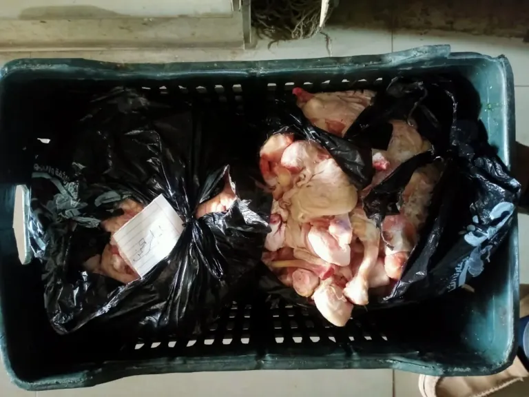 المضبوطات