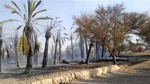 حوادث